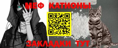 стаф Донской
