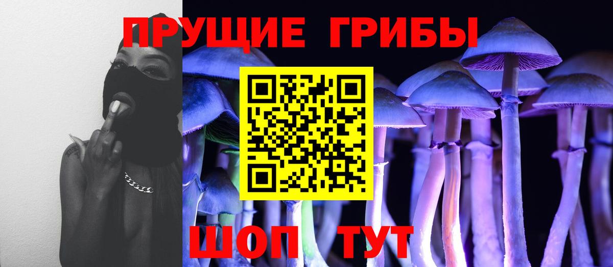 Псилоцибиновые грибы Psilocybe Малгобек